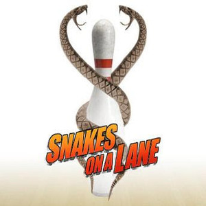Team Page: Snakes on a Lane